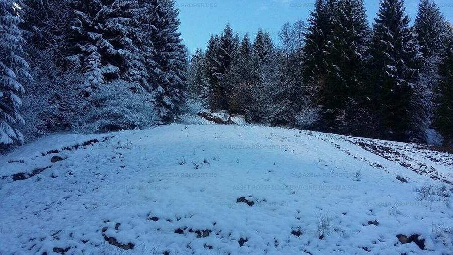 Teren in suprafata de 11 310  mp situat in Rasnov, Paraul Rece - 9