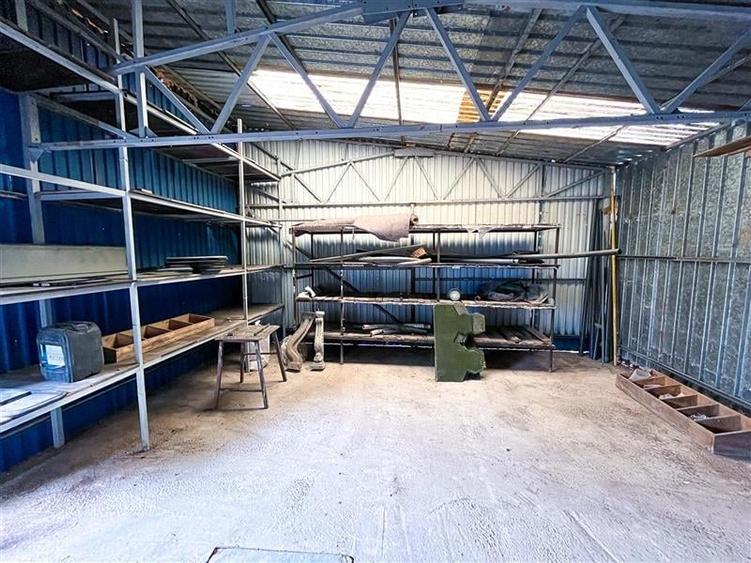 Hala & CURTE libera  SemiCENTRAL - 12