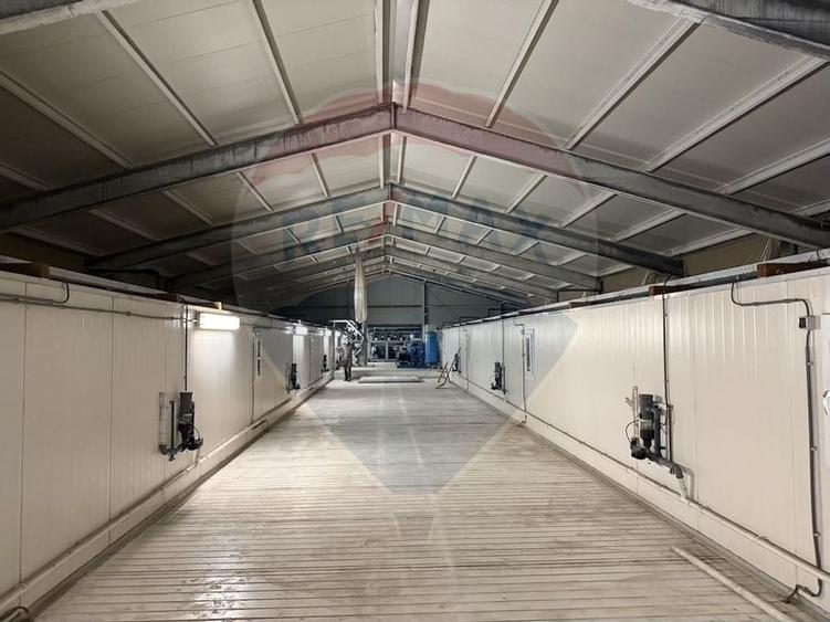 Ferma agro-industriala - 43 ha Adunatii Copaceni - 26