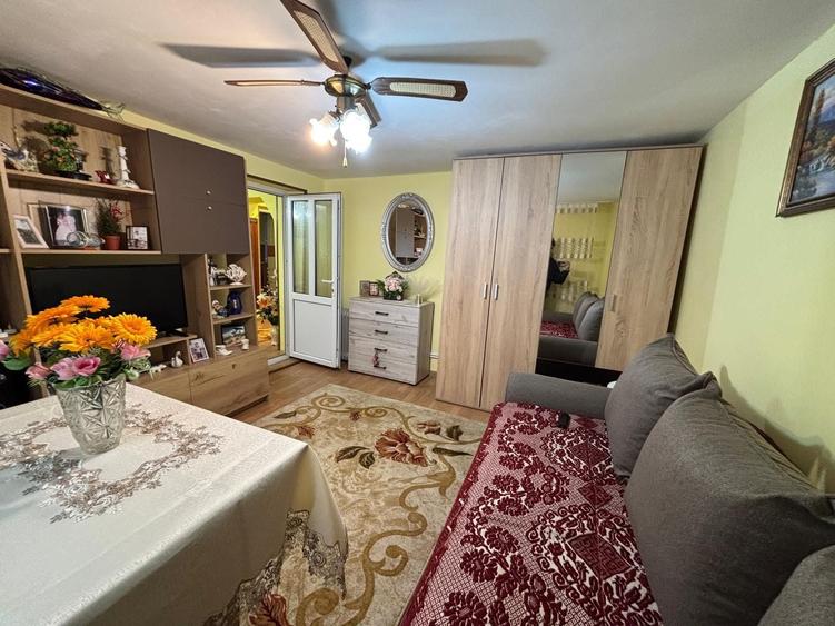 Casa renovata teren 3.200 mp livada si vie Comuna Popesti sat Obrijeni jud Iasi - 4