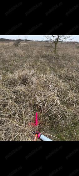 Teren Mo?ni?a Noua -Urseni de vanzare - 1