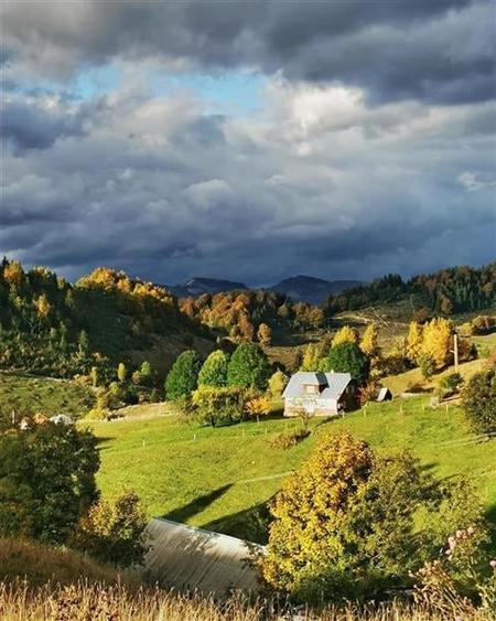 Pensiune incadrata de 2.350 teren, Bran - Fundata, Brasov - 5