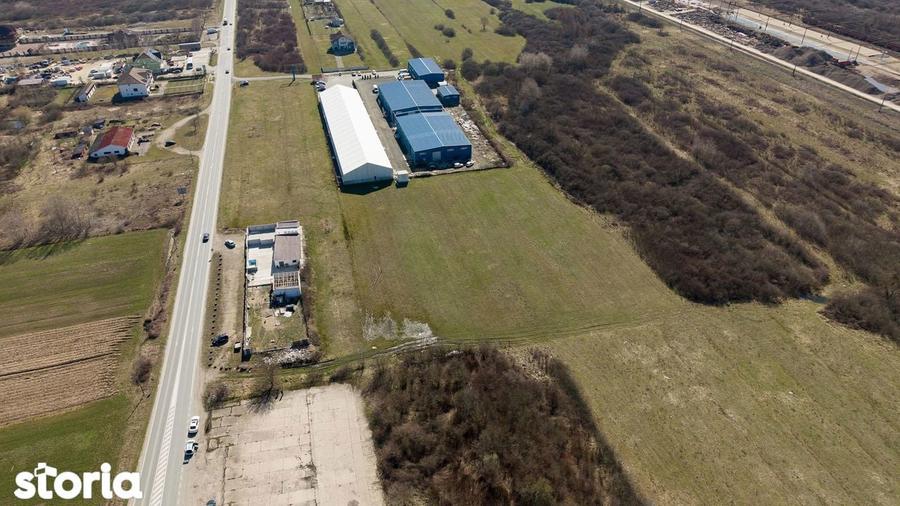 Teren extravilan de 7.000 mp langa Paltini? - 12