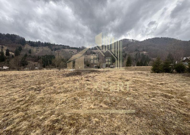 TEREN INTRAVILAN 500 MP SATIC- RUCAR - 10