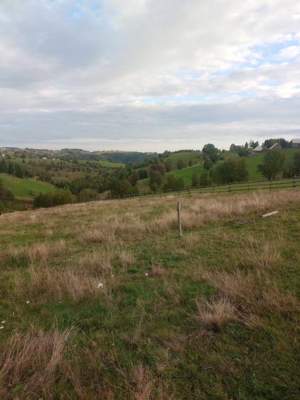 Vand teren intravilan si extravilan Sat Maguri - 7