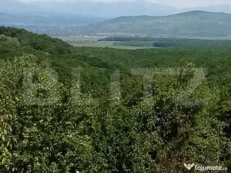 Casa cu 2 camere demolabila, suprafata teren 1700mp + super - 7