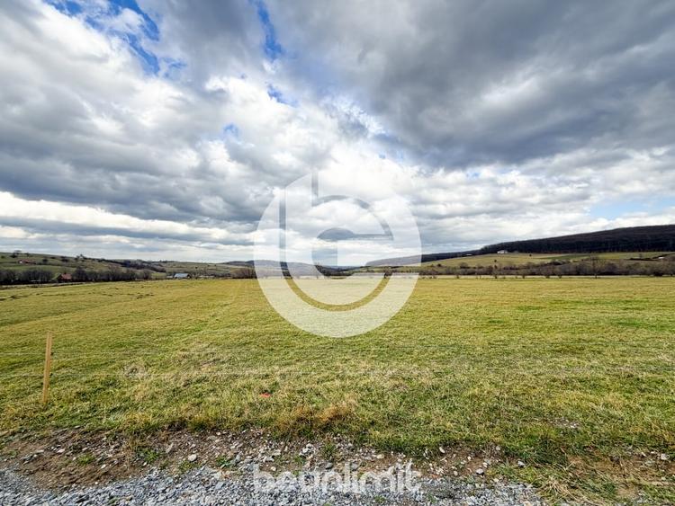 Teren intravilan in Tocile - 49 euro/mp - 4354 m² - 2 fronturi - 18