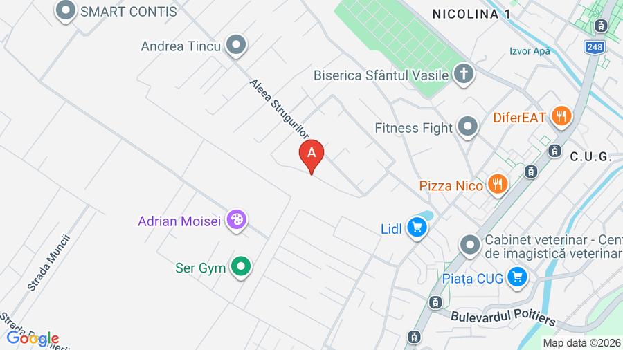 Persoana fizica vand teren in oras iasi - 1