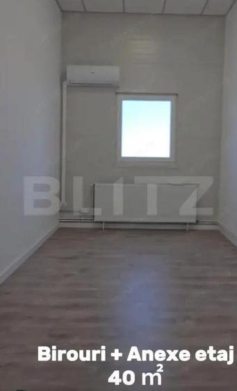 Doua hale industriale 620 - 1500 mp, Campenesti /Apahida - 2