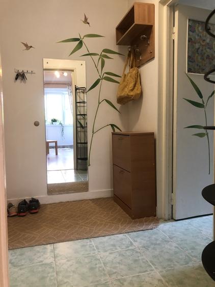 Vatra Luminoasa, Maior Coravu, Ciurea - 3