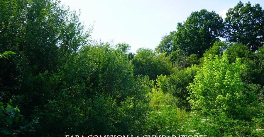 CASA CU TEREN 1730 MP, UTILITATI RACORDATE - 18