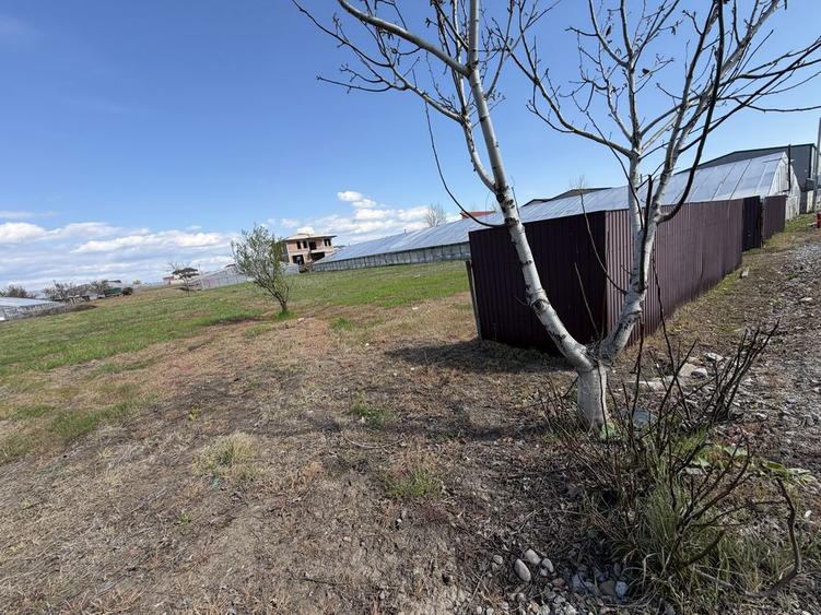 Teren intravilan - 3