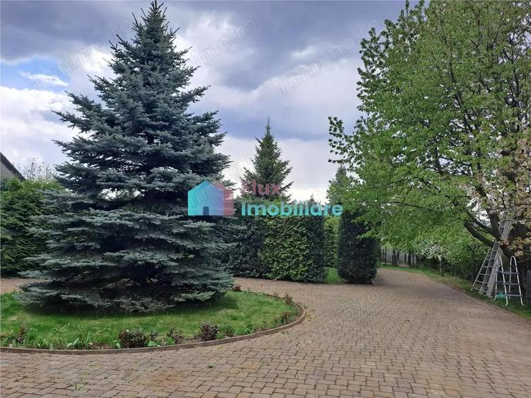 Teren intravilan 1000 mp in Scheia - 1