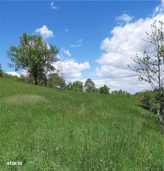 BRAN-teren intravilan - 2