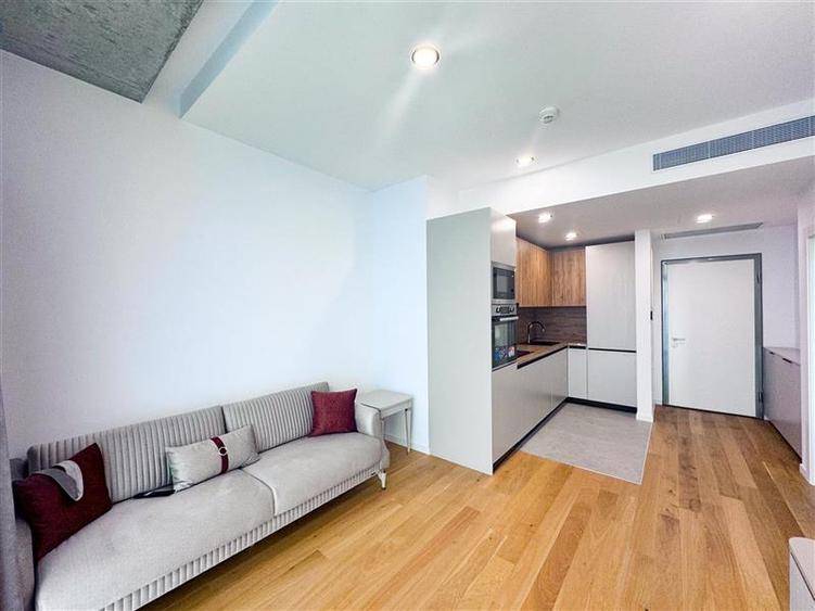 Apartament 2 camere de inchiriat Up-Site Floreasca - 1