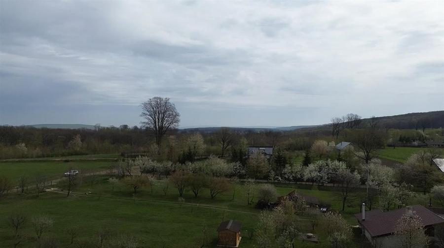 Teren intravilan 5800 mp Mitocasi - Suceava! - 6