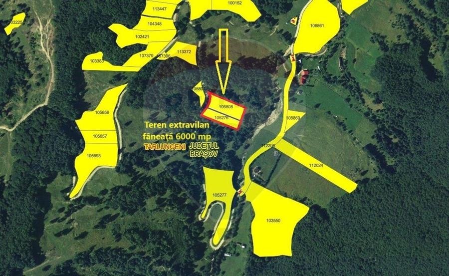 Teren 6000 mp, Vama Buzaului - vedere către Ciucaș - 12