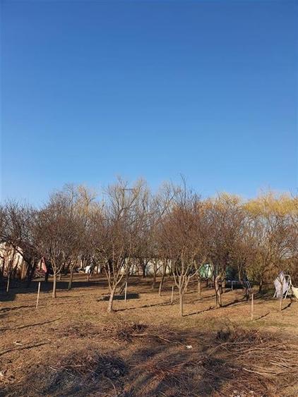 RECO Teren Santandrei 2000mp - 1