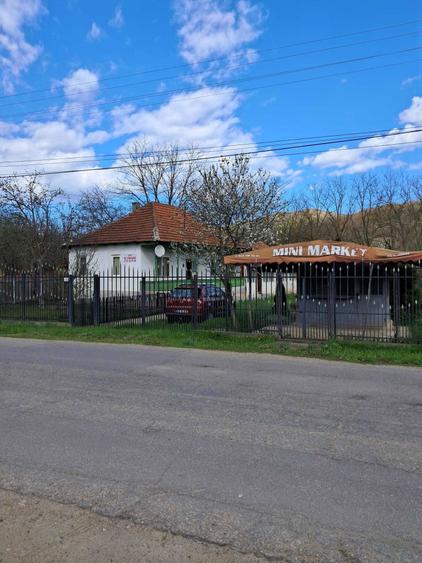 Vand Casa Complet Mobilata cu Teren 3996mp Sat Policiori Judetul Buzau - 1