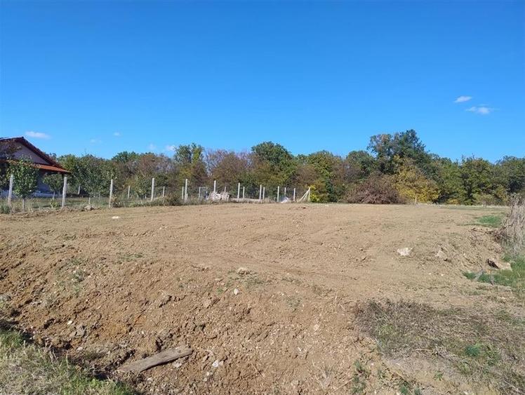 RECO Teren intravilan Betfia - 4