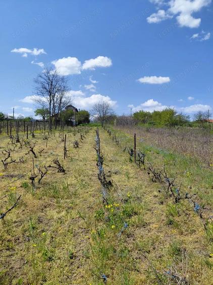 Teren intravilan 3.250 mp in File?ti Ideal pentru casa sau investi?ie! - 15