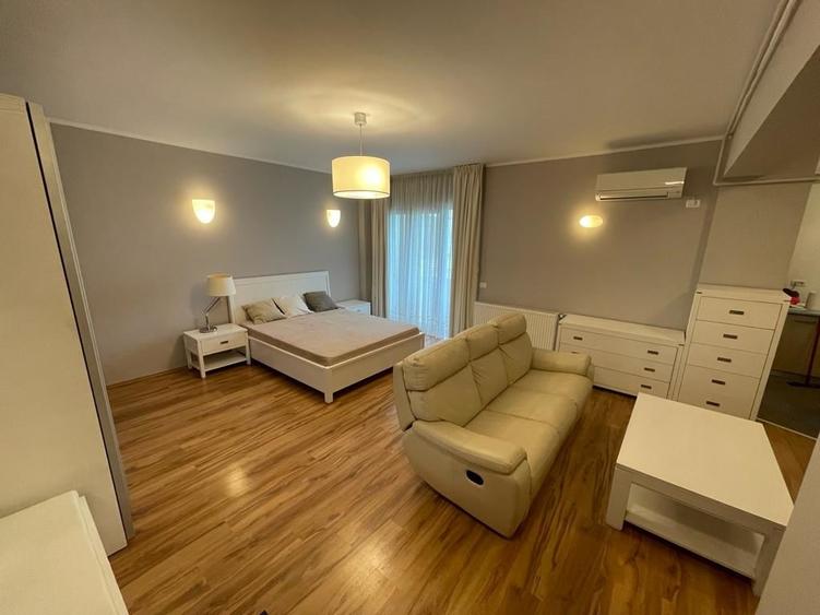 Cutitul de Argint, Parcul Tineretului - 2