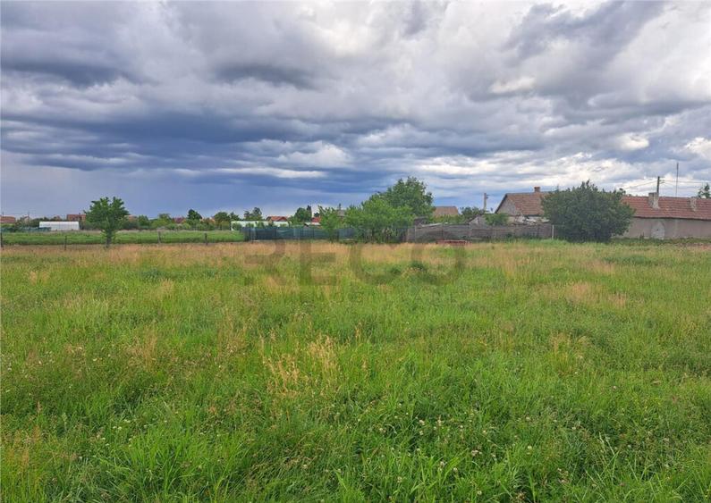 RECO Teren intravilan in Cefa - 1