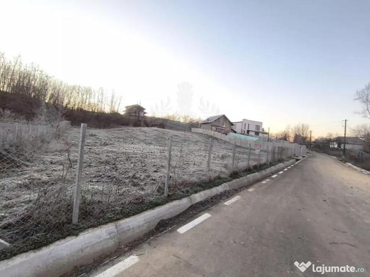 TEREN INTRAVILAN//COM. PLOPU//1300//2700 MP - 5