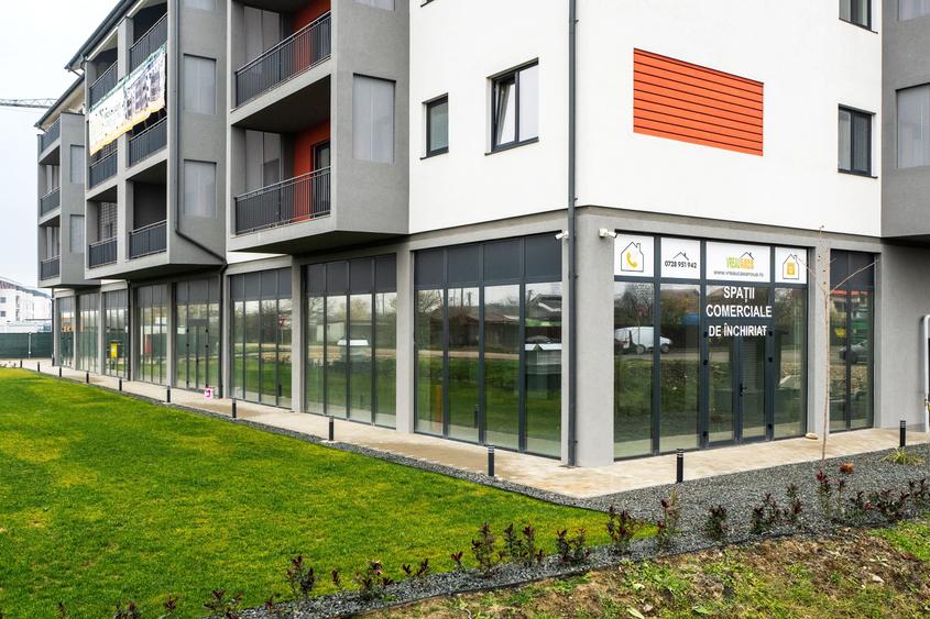 Spatiu Comercial  - Mehala - Strada Grigore Alexandrescu - 3