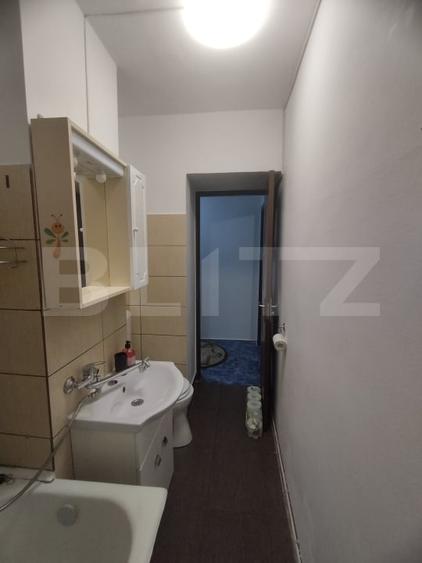 Apartament 3 camere Alexandru cel Bun - 16