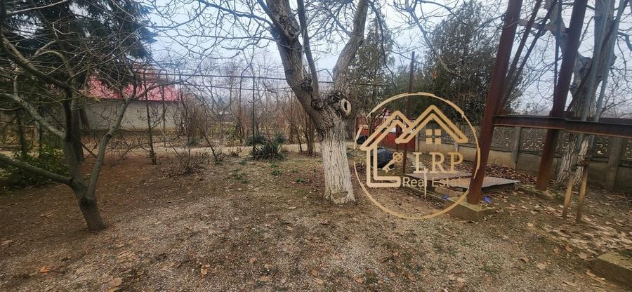 Uzunu Calugareni DN5/E85 -casa, anexe, intravilan 10.488mp, utilitati - 24