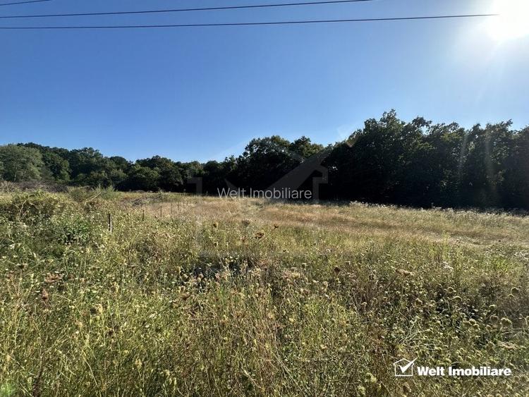 Teren Intravilan, Faget, zona strazii Sfantul Ioan, 3000mp Teren Intravilan, Faget, zona strazii Sfantul Ioan, 3000mp