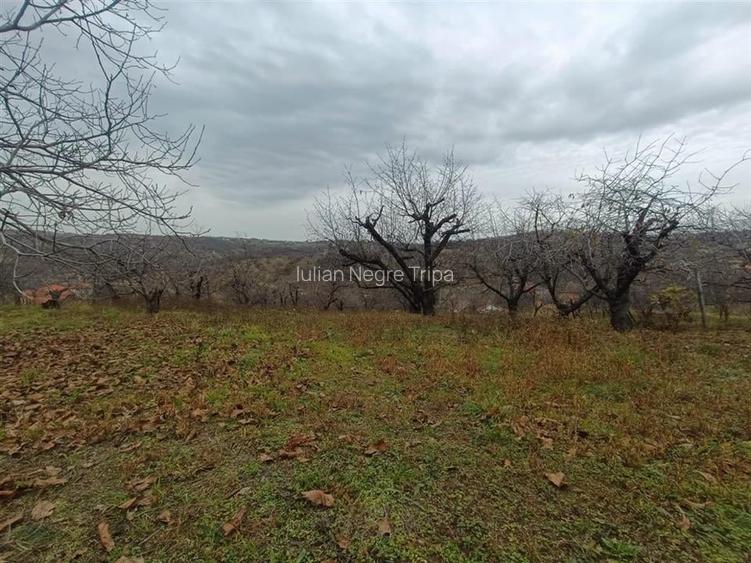 RECO Teren  in Oradea