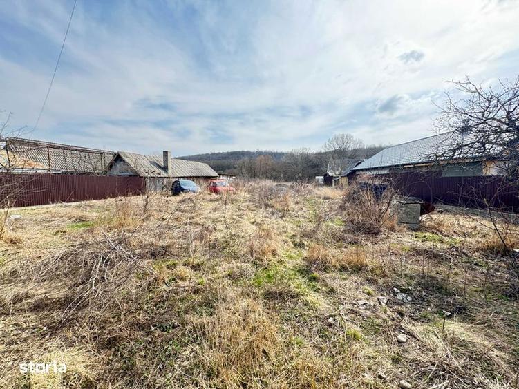 Teren intravilan la strada si padure in Traian - ocazie rara - 5