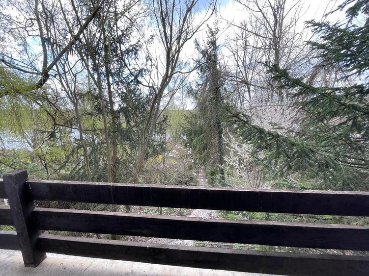 Vila de lux - Snagov, acces la ponton 70 m, deschidere la lac - 14