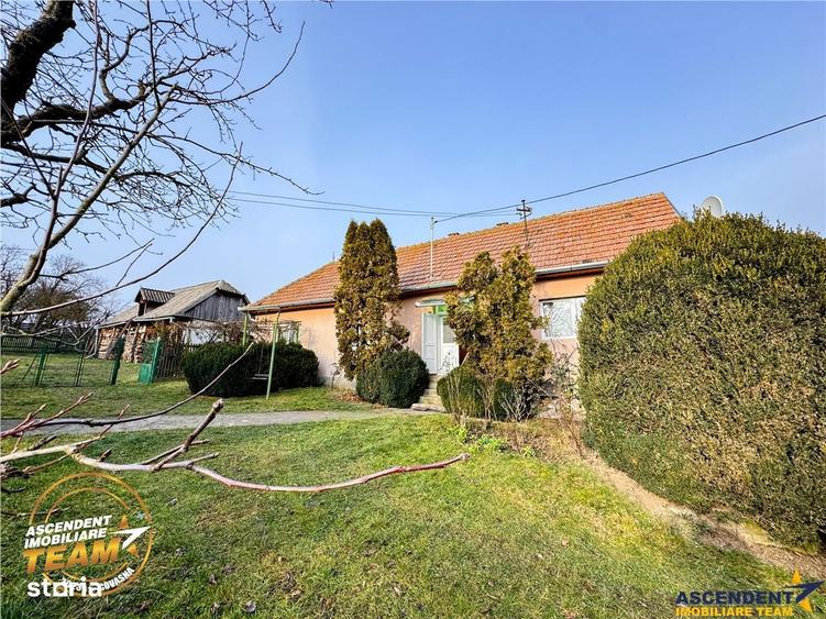 FILM! 5.000mp teren intravilan cu casuta rustica, Dalnic, Covasna - 6