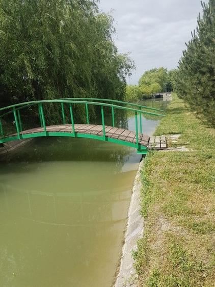 Teren privat cu amenajari ptr evenimente,cazare și pescuit sportiv. - 8