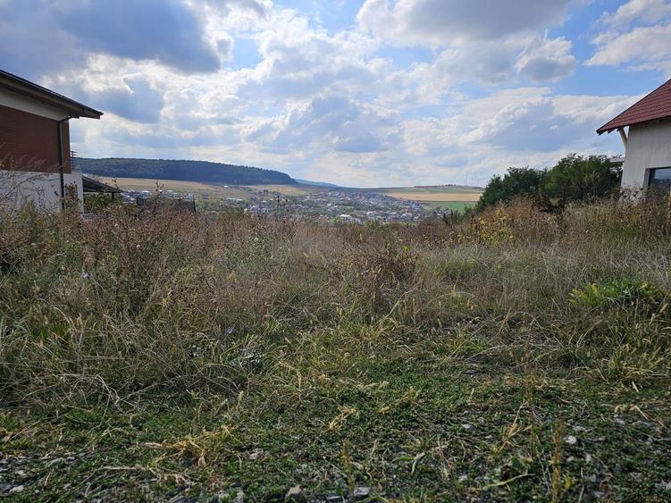 Teren cu autorizatie pentru doua case in Chinteni - 10