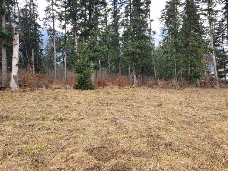 Teren intravilan Busteni, zona manstirea Caraiman - 4