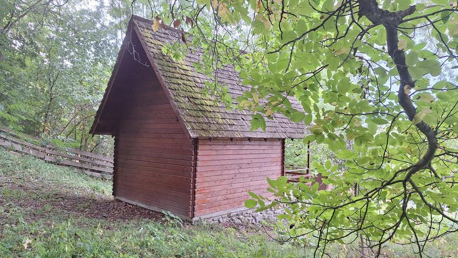 VANZARE ANSAMBLU CASUTE BRADULET ARGES - 9