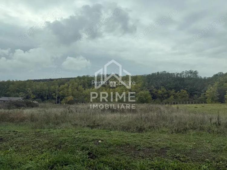 Teren intravilan 2100 mp | UTILITATI | Teleac | 3 fronturi |