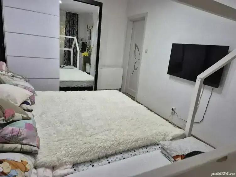 Apartament 2 camere PARTER Calea ?agului - 2