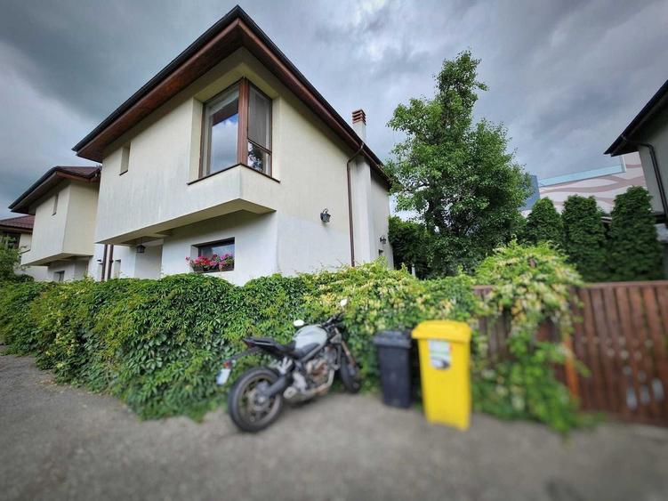 Mogosoaia-vegetație matură, zonă liniștită, aproape de parc - 9