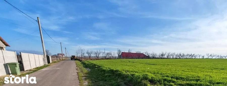 Vand loturi de 527 si 635 mp langa Delta Neajlovului la cel mai bun pr - 1