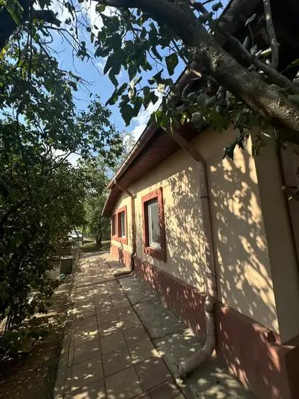 Casă cu 5 camere | Pivniță și Livada | Aproape de București | - 12