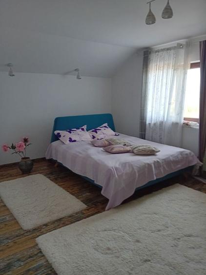 Vand vila p+m 2023 Vaslui - 3