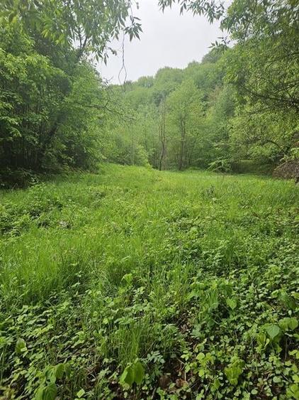 TEREN  PENTRU BUSSINESS 2842 MP DE VANZARE IN STATIUNEA  TARGU OCNA - 5