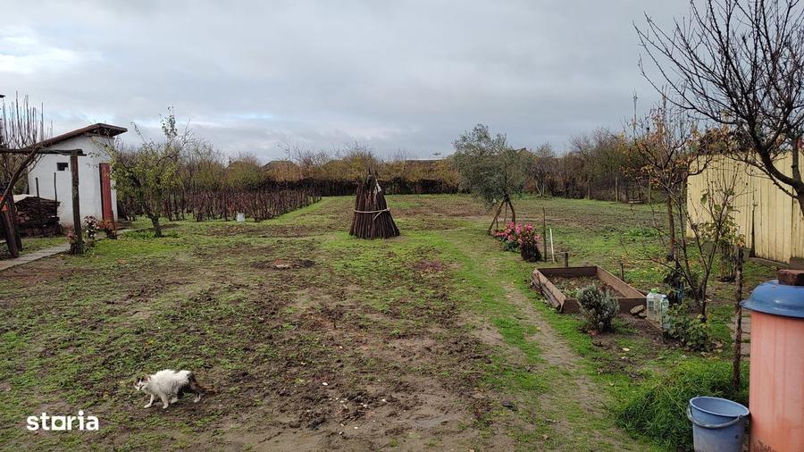 Casa cu 2 corpuri si teren de 1500 mp in sat Basarabi, Dolj - 4