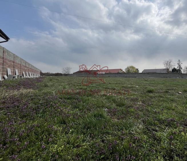 Teren intravilan pentru blocuri la asfalt | Bucovat - 2