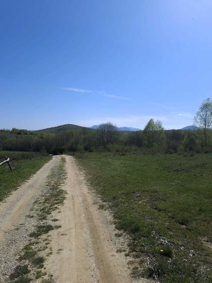 Teren intravilan 500 mp. Zarnesti/Tohanita - 5